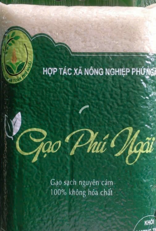 htxnnphungai.biz.vn